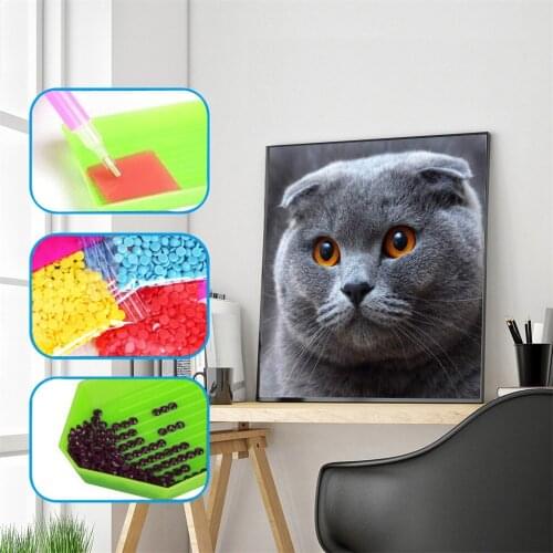 100% Full 5D DIY Daimond Painting Cat 5D DIY Diamond Painting Square Crystal Rhinestones Diamant Painting Embroidery Home Decor