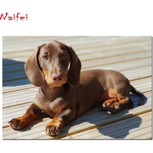 Dog Dachshund Puppy Diamond Painting animal Round Full Drill 5D Novelty DIY Mosaic Embroidery Cross Stitch home decor gifts