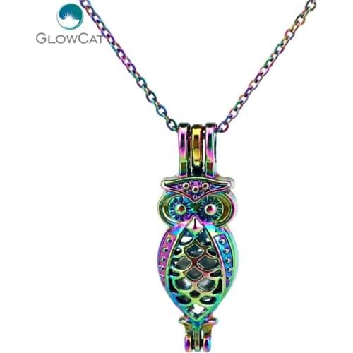 C593 Rainbow Color 35mm Animal Long owl Bead Cage Necklace Pendant Aroma Essential Oil Diffuser Locket Necklace