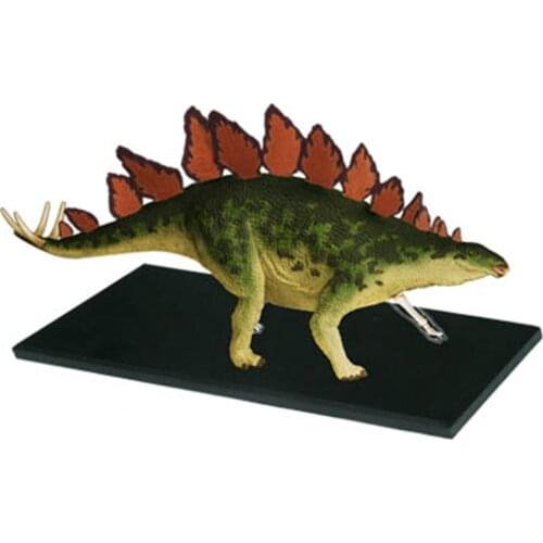 Puzzle assembling childrens toy ornaments simulation animal dinosaur stegosaurus organ anatomical model