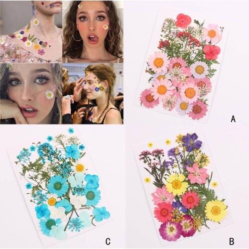 Pressed Flower Mixed Organic Dried Flowers DIY Art Floral Decors Collection Gift SCIE999