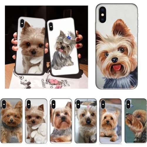 Zororong Yorkshire terrier dog Phone Case For iPhone 12 Mini 11 Pro XS Max X XR 7 8 Plus