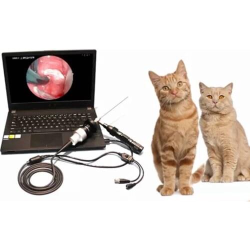 Medical endoscope hd ccd cameras for veterinarians inspection