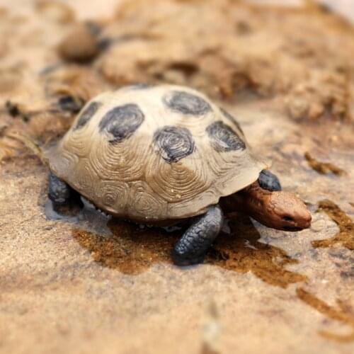 8pcs/set Realistic Plastic Wildlife Animal Model Toy for Kids Figures Zoo Pack Kids Birthday Gifts Playset