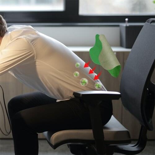 Vive fit Chinese Spine Patches