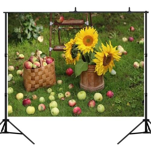 Lyavshi Apple Orchard Photography Backdrop Autumn Harvest Green Meadow sunflower Farm Tour Photo background Studio Props