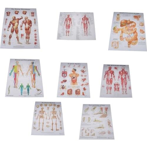 Human Anatomy Muscles System Massage Map Art Poster Print Body Map Silk Painting Wall Pictures For Medical Education Body Map