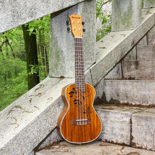 Exceed(乐器工具) Stringed Instruments