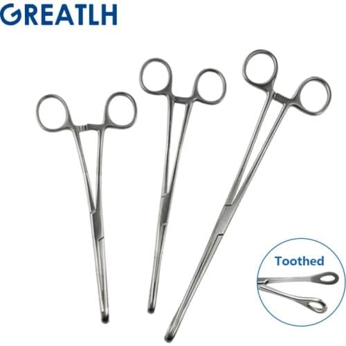 Stainless Steel Sponge Pliers Cupping Pliers Oval Pliers Straight Sponge Clip