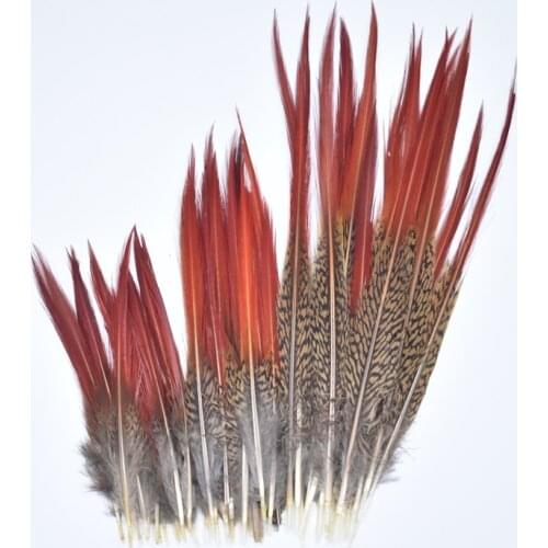 Wholesale 4-6 Inch 10-15CM Pheasant Feathers Red Sword Rare Feathers for Needlework Bulk Small Feather Decor Accessories Plumes
