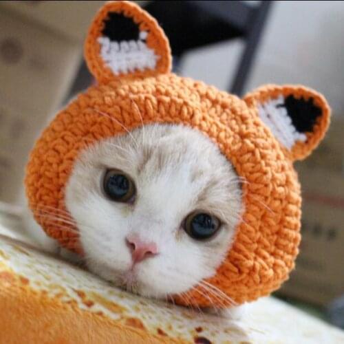 Funny Hat for Cat Fox Dress Up Costume Pet Hat Cosplay Animal Keep Warm Colorful Headwear Cat Accessories Halloween Costume