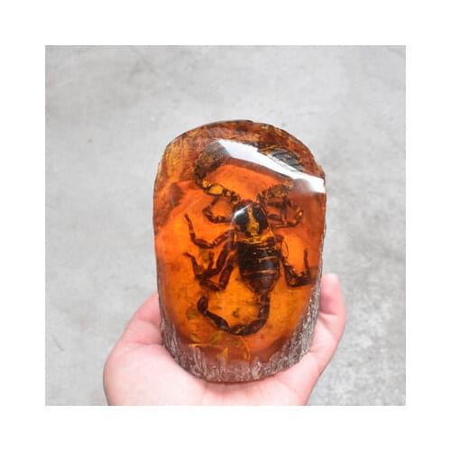 9cm Amber insect scorpion cicada butterfly insect specimen small ornament
