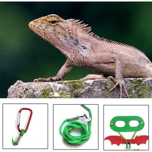 Creative 1 Set Wearable Lizard Leather Traction Rope Reusable Reptile Harness Skin-friendly for Outdoor