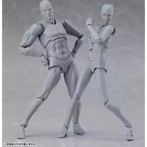 Figmas Nude Muscular Body Youth Edition 2.0 Type Female/Male Movable Action Figure Illustrative Art Drawing Comic Painting
