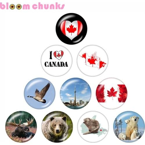 Canada 10pcs mixed 12mm/18mm/20mm/25mm Round photo glass cabochon demo flat back Making findings C22654