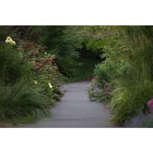 Garden path flower Road background High quality Computer print wedding backdrops