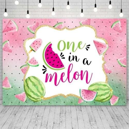 Watermelon Party Backdrop One in a Melon Birthday Party Banner Photography Background First Birthday Pink Melon Party