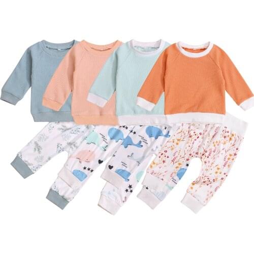 Toddler Baby Boys Girls Clothes Set Fall Splicing Color Long Sleeves Pullover Floral/Whale Casual Pants 2Pcs Outfits