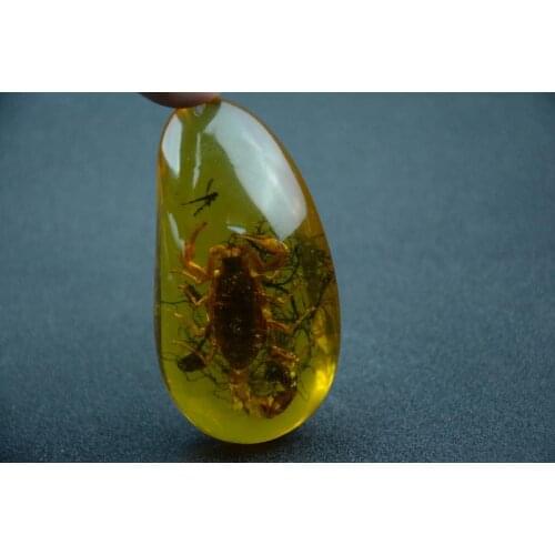 Rare natural amber scorpion pendant internalization,best collection&adornment,free shipping
