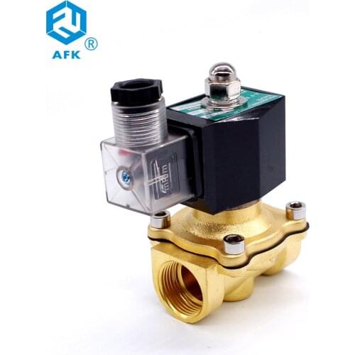 2T-15 1/2 normally closed 220VAC solenoid valve for propane gas