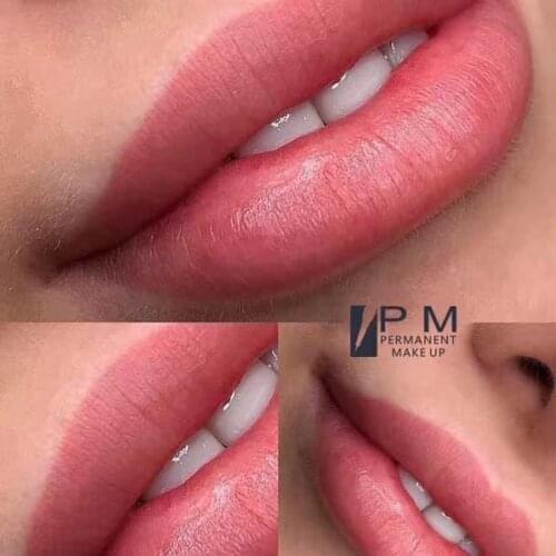 PM Digital Microblading Eyebrow Permanent Makeup Machine Professional Micropigmentation Tattoo Machine