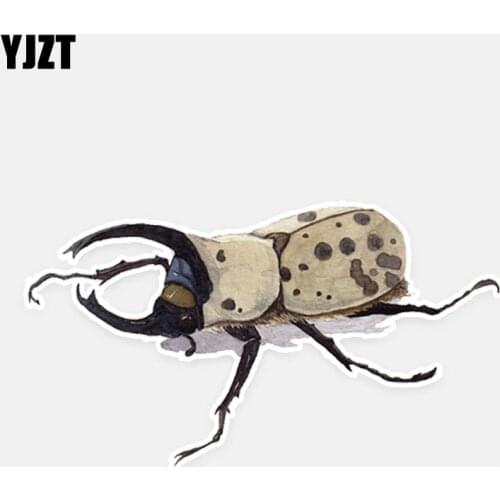 YJZT 13.7*7.6CM Predator Small Animals Flight Beetle Decor Car Stickers High Quality Personalized Colored 11A0623