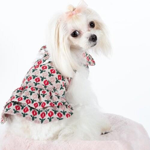 Pet Dog Dress Winter Puppy Dresses Cat Chihuahua Yorkie Small Dog Clothes Princess Skirt Apparel Pomeranian Poodle Clothing XXS