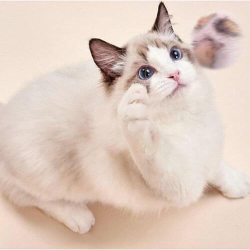 10Pcs Funny Interactive Cat Toys Kitten Zebra-Stripes Leopard Chewing Plush Ball