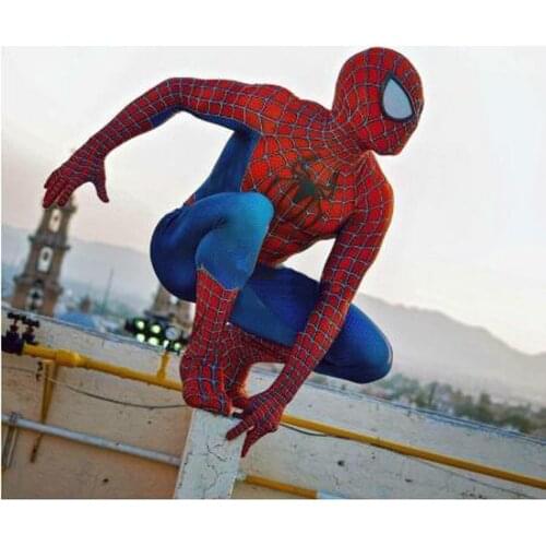 Classic Raimi Costume 3D Printed Kids Adult Spandex zentai suit For Halloween Mascot Cosplay