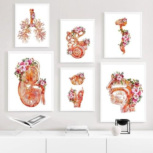 Human Organs Map Anatomy Aesthetic Wall Art Canvas Painting Nordic Posters And Prints Decor Pictures For Medicine Education Room