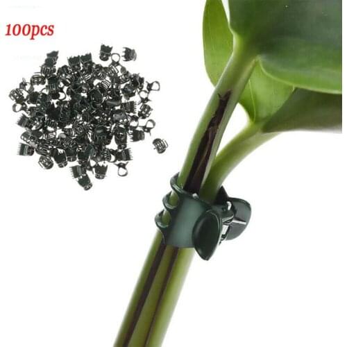 100Pcs Plastic Garden Plant Fix Clips Orchid Stem Vine Support Branch Clamping Fruit Tied Bundle Branch Clamping Gardening Tool