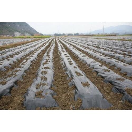 Free shippping,black color.2x10M 2 silk,Garden PE film flower greenhouse plastic mulch.plastico para invernadero.plant,vegetable