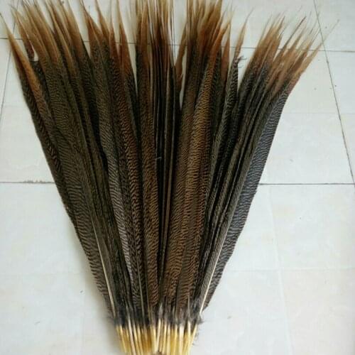 Free Shipping 100PCS Natural Golden Pheasant Feathers 50-55CM 20-22Inches Long Lady Amhest Pheasant Tails Carnival Plumes Plumes
