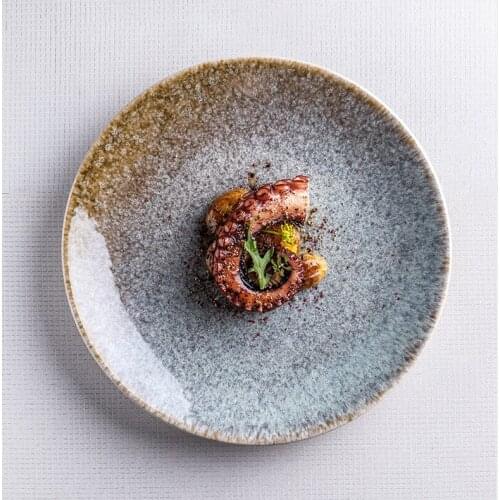 MIDOSHARK Kiln Variation Pattern Ceramic Dinner Plate Serving Plate for dinner