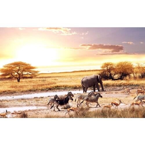 Home Decor Africa Safari-Silk Art Poster Wall Sticker Decoration Gift