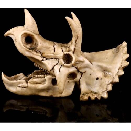 Dinosaur Skull Resin Sculpture Model Triceratops Skeleton Statue Home Bar Teaching Animal Crafts Art Decoration Children Gift