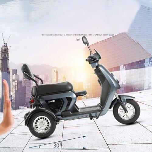 18 Inch 48/60V Electric Bike Lithium Battery Mini 600/800W Smart Control Tubeless Tire