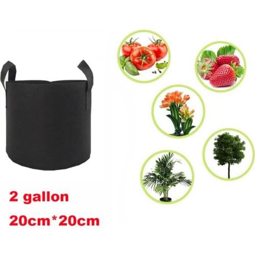 2 Gallon 20x20cm Fabric Grow Bag Felt Plant Bags with Handle Potato Vegetable Growing Planter Vertical Flower Pot Black Color