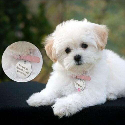 1Pcs Metal Fashion Pet Tag Paw Design Anti-Lost Pet Tag Personalized Engraved cat and dog Pet Tag Compact size lightweight