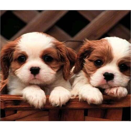 5D DIY Diamond Painting Square Round Animal Mosaic Dog Cross Stitch Diamond Embroidery Home Decoration Gift WG2285