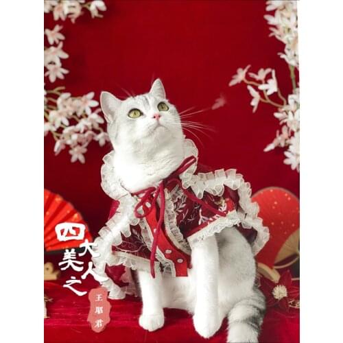 Original pet hanfu dog clothes cat clothes