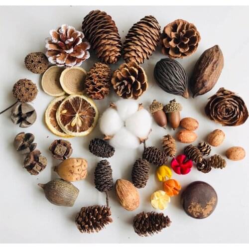 Hamster Cage Landscaping Supplies Natural Pine Cones Wood Chips Leaves Dried Flowers Hamster Cage Decoration Hamster Accessories