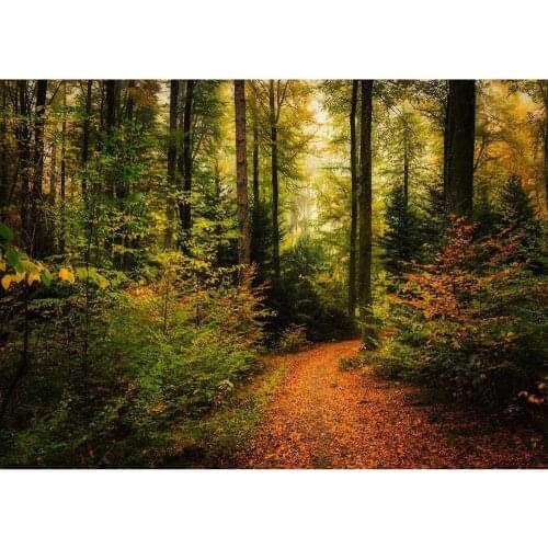 Photography Backdrop Forest Jungle Scenic Computer Printed Photo Studio Background for Children Baby Portrait Wedding Photophone