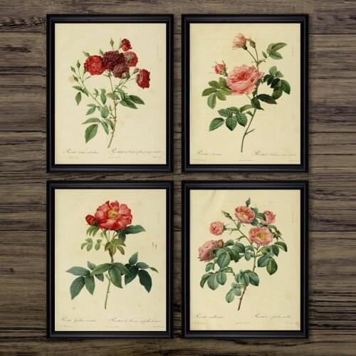 Antique Plants Illustrations Canvas Posters Vintage Botanical Prints Office Studies Decor Wall Art Pictures Rose Flower Painting