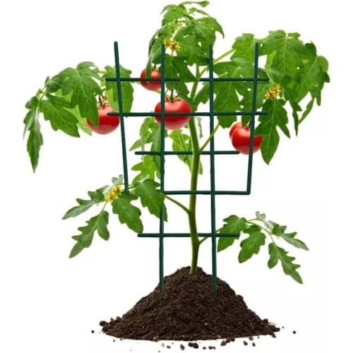 Tomato Stem Vine Support Rack Fruit Vegetable Superimposed Stand Garden Flower Plant Growing Climbing Rack Gardening Accessories