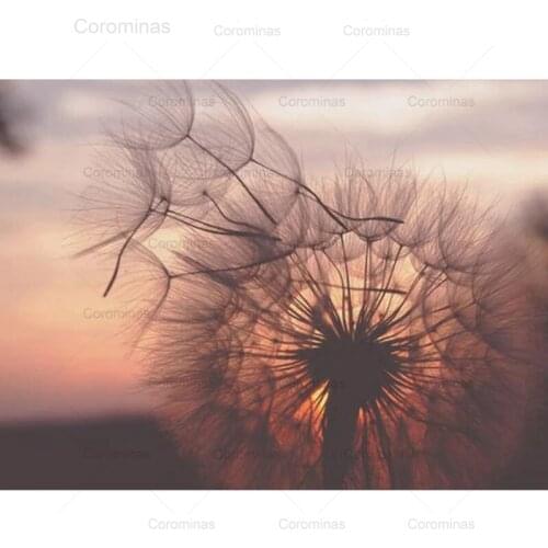 Diamond Painting Full Square Round Drill Diamond Embroidery Dandelion Flower Diy Cross Stitch Rhinestones Mosaic Kit Home Decor