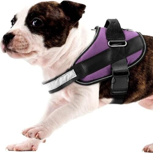 Personalized Dog Harness Reflective Adjustable Dog Harness Vest For small large Dog With Customized Patch Dogs Training Supplies