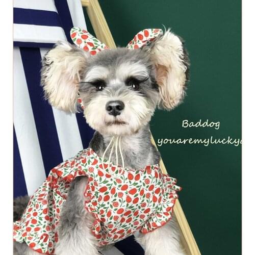 New Floral Dresses For Pets In Summer Clothing For Small Dog Cats Skirt For Pets Schnauzer Akita Pug Clothes With Hair Band