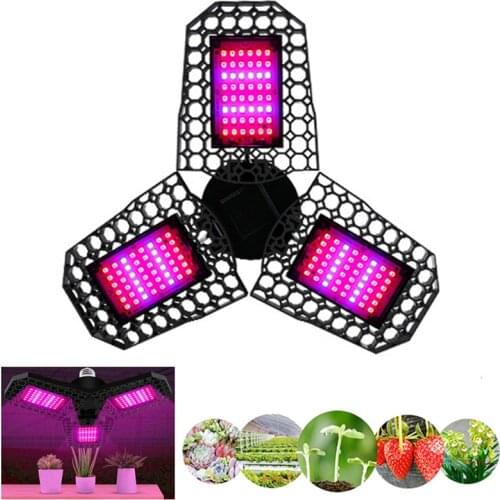 Phytolamp For Plants Led Light Bulb E27 Indoor Lighting Grow Light Full Spectrum Foldable Lamp For Plants Quantum Board