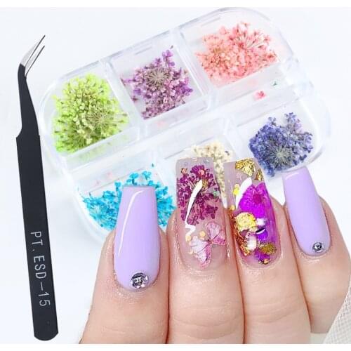 24PCS Nail Dried Flowers Sticker Gypsophila Natural Real Dry Floral 3d Tips Decals Manicure Art DecorationAccessories LAFL300